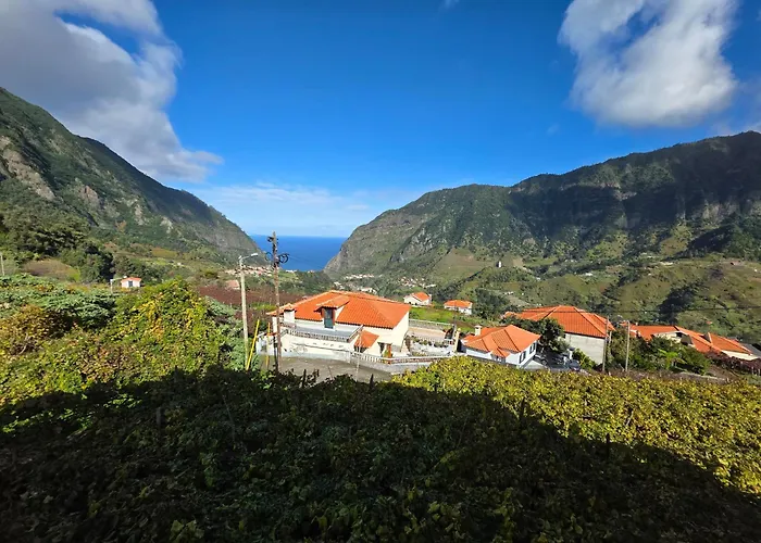 Margarida Madeira São Vicente