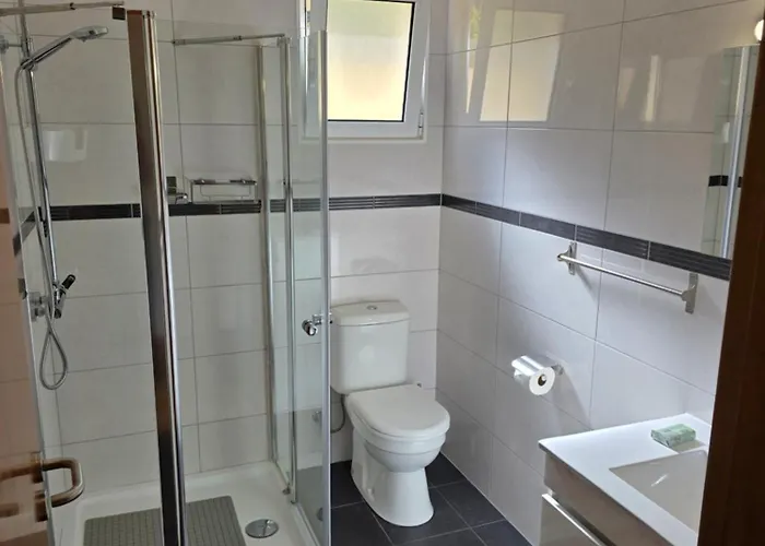 Margarida Madeira Willa *