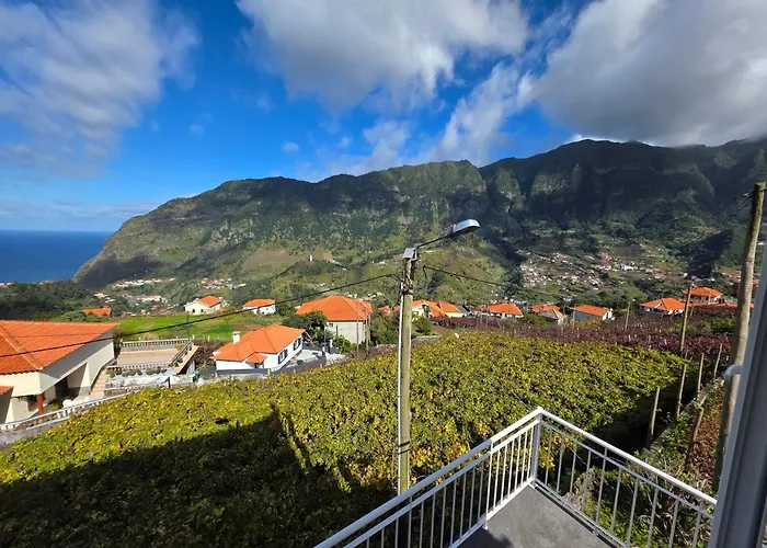 Margarida Madeira Willa *