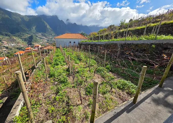 Willa Margarida Madeira São Vicente