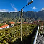 Margarida Madeira Villa *
