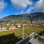 Margarida Madeira Villa *