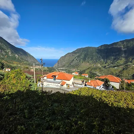 Margarida Madeira São Vicente